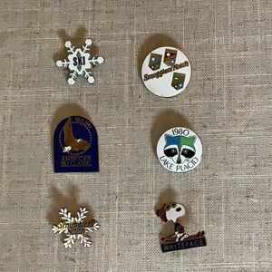 Vintage Ski Pin Collection [6]